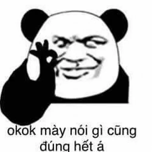 Ảnh vui đỉnh quá để khen bạn khép lại vấn đề cực chóng.