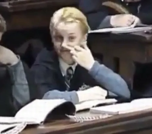 Meme hài Harry Potter đứng trước thầy Snape trong phòng sinh hoạt Gryffindor