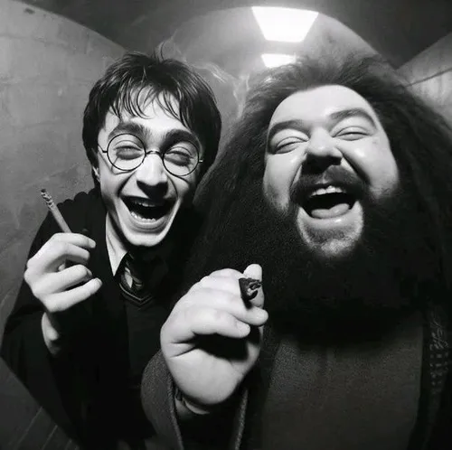 Ảnh vui phù thủy trẻ lúng túng phòng sinh hoạt Gryffindor