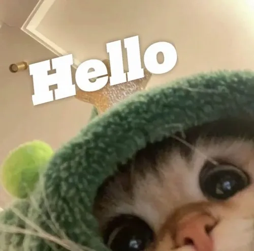 Ảnh chế hello gắn nụ cười hé môi làm đoạn mở đầu ấm áp