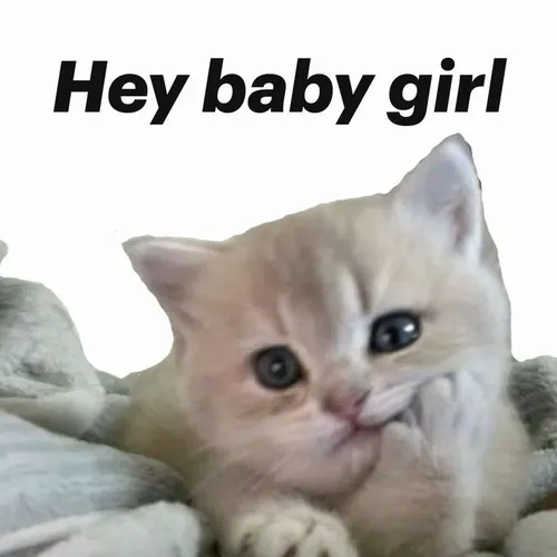 Hình troll xin chào lồng bàn tay vẫy nhẹ tạo thiện cảm rõ rệt