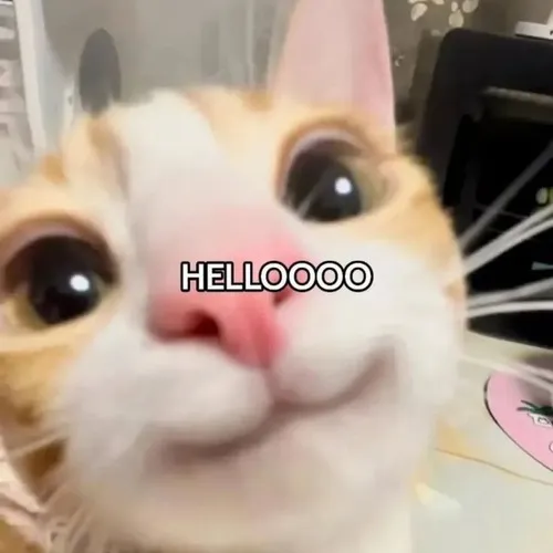 Meme hello bật nét mặt tươi giúp lời chào trở nên sống động