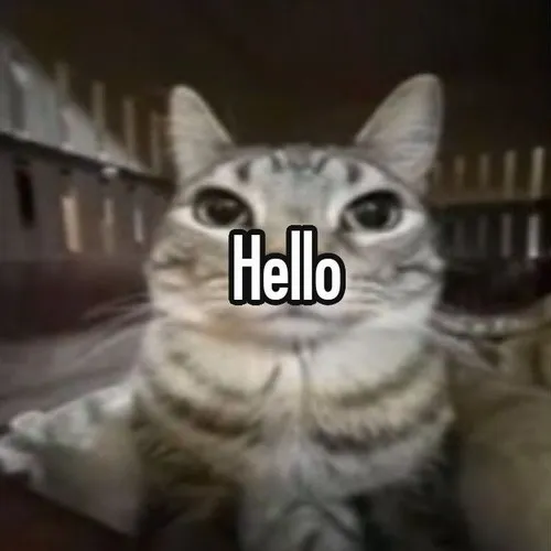 Ảnh vui chào nè mở không khí nhẹ khiến tương tác tự nhiên hơn