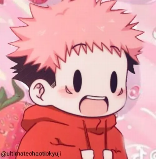 Ảnh hài mèo xám lăn ra đất phẫn nộ nhẹ