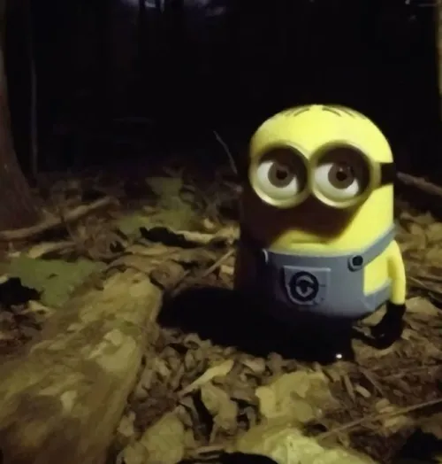 Hình chế meme vui cừu hoạt hình chạy quanh hoảng loạn