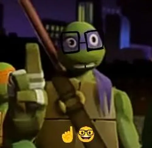 Meme hài rùa ninja hoạt hình nhìn bạn khó hiểu