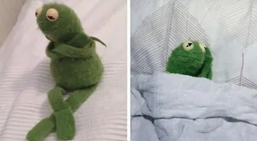 Hình troll bồn chồn khi áp lực gia đình khiến tâm trí xoay vòng