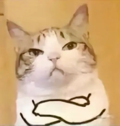 Bộ ảnh meme mèo giận dỗi phơi bày thái độ “không thích nói chuyện”