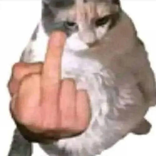 Ảnh troll mèo dơ ngón tay thối tạo vibe phản kháng rõ rệt.
