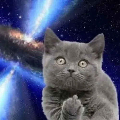 Meme mèo bật ngón gắt nhẹ pha nét nhìn khó chịu.