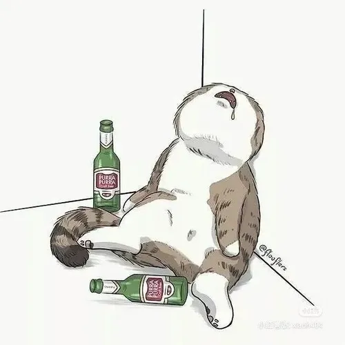 Meme hài mèo nhấp men phác họa chân ôm chai nhỏ