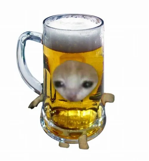 Meme vui mèo quắc tạo điểm nhấn ở ánh mắt lim dim