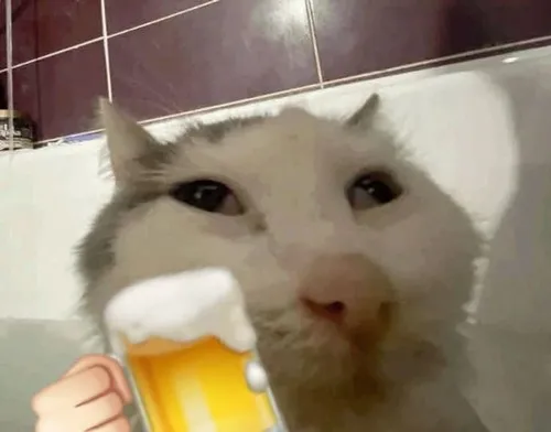 Ảnh troll mèo hơi xỉn miêu tả cái ngáp dài mệt mỏi