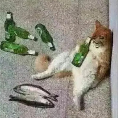 Hình chế mèo phê mô tả đôi tai cụp vì men