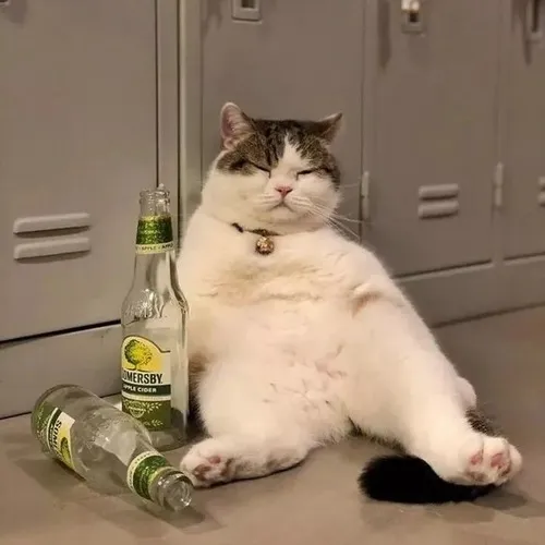 Meme troll mèo ngồi bệt khắc họa dáng chống nạnh say