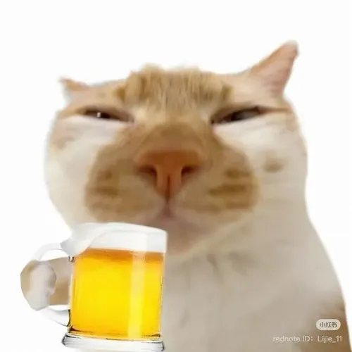 Meme chế mèo uống rượu cùng chi tiết men lên mặt