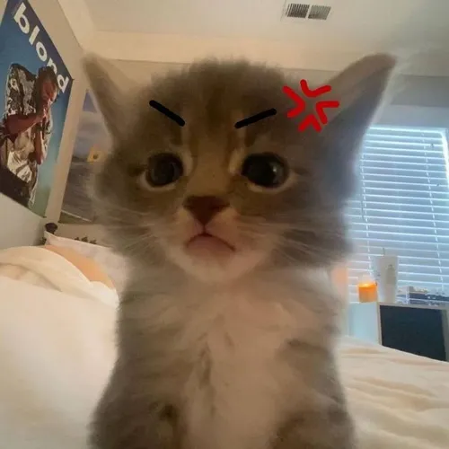 Hình troll ánh mắt như mất kết nối nhìn đầy chán nản