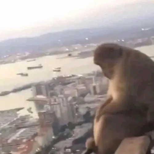 Trọn tập khr ngồi một mình mô tả cảm giác muốn trốn cả thế giới