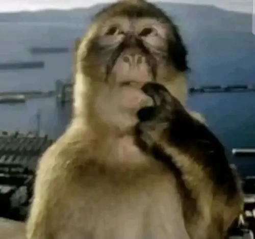 Meme suy tư gắn nét mặt đăm chiêu giữa chiều muộn