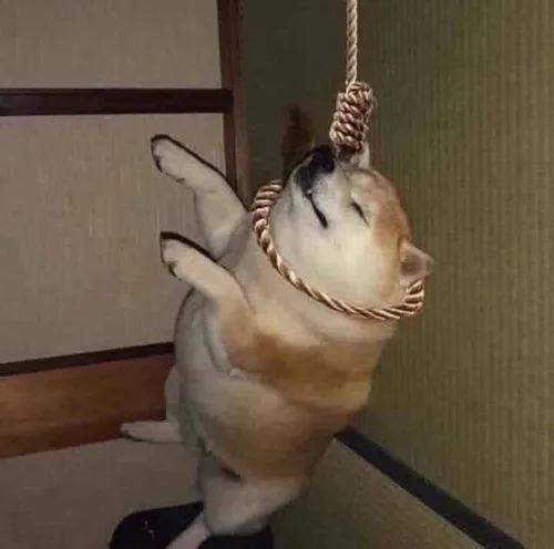 Meme chó treo cổ nêu bật trạng thái rơi mood bất ngờ.