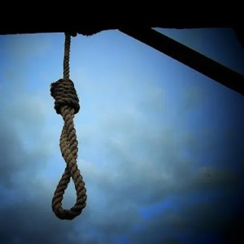 Meme treo cổ ghi lại biểu cảm tuyệt vọng bi hài.