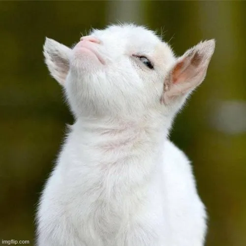 Hình troll hãnh diện thể hiện tư thế đứng thẳng sống động