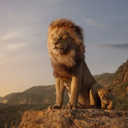 Ảnh meme vui dùng gương mặt sáng tạo cảm giác đồng điệu