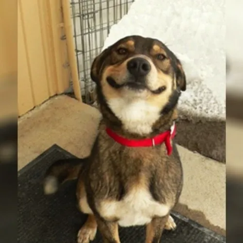 Meme hài tư thế chỉ mình thể hiện thành tựu bé