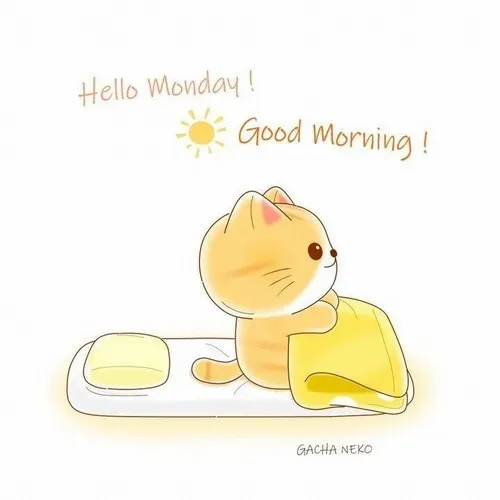 Ảnh chế người đang pha cà phê sáng trong bếp nhỏ