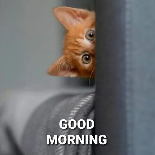 Ảnh vui “ngày mới mở ra, đừng quên mỉm cười nhé”