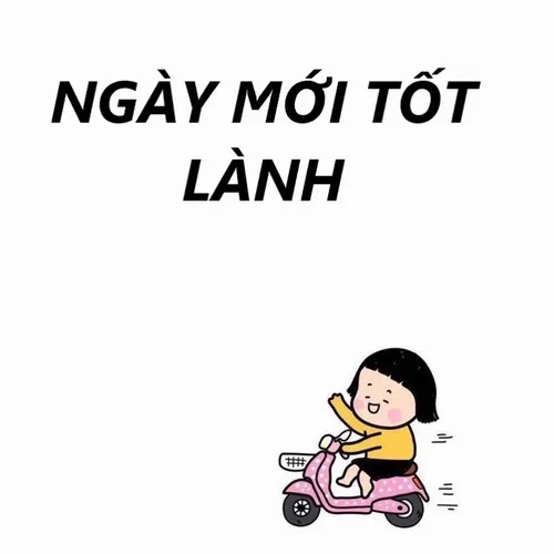 Meme chú mèo cuộn tròn trên ghế, nhìn nắng sớm