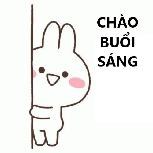 Meme khung cảnh thành phố dần sáng, xe bắt đầu chạy