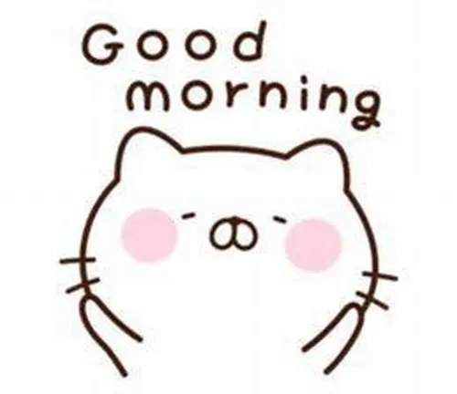 Meme buổi sáng yên tĩnh với nụ cười nhẹ đầu ngày