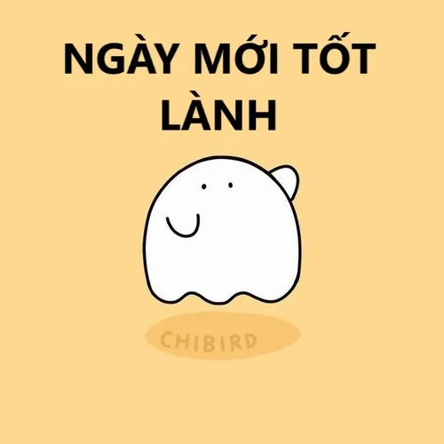 Meme cảnh bàn làm việc gọn gàng, sẵn sàng khởi động
