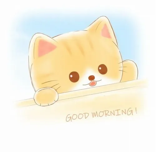 Meme dễ thương cảnh mèo ngáp dài khi bình minh vừa ló