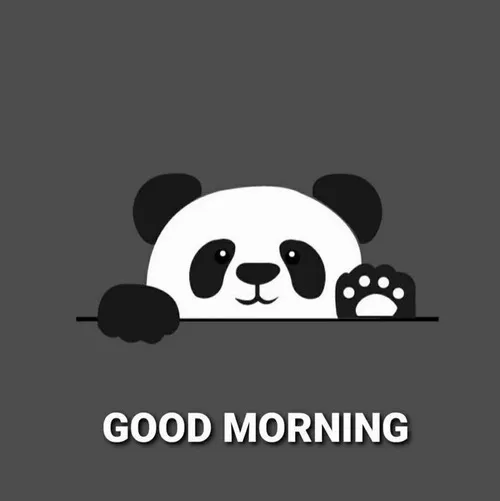 Những meme chào buổi sáng lan tỏa năng lượng tích cực