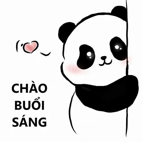 Ảnh meme gấu trúc dễ thương chào buổi sáng