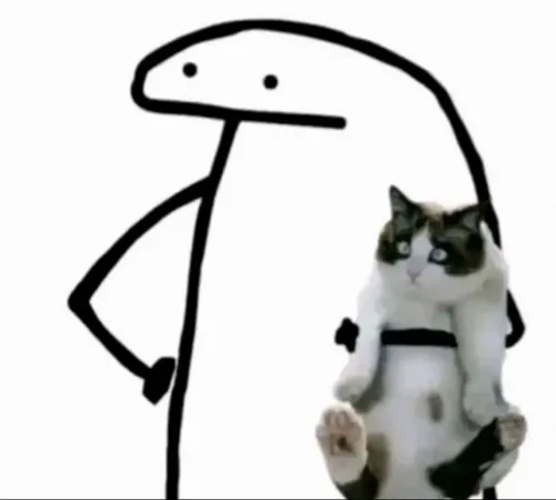 Meme chế thằn lằn ôm mèo