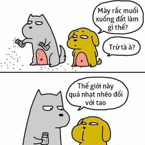 Ảnh troll rắc gia vị miêu tả thần thái thản nhiên