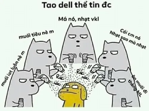 Ảnh chế rải muối liên hệ đầu bếp và muối hạt