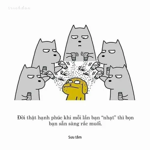 Meme rắc muối chạm gia vị cay và tiêu đen