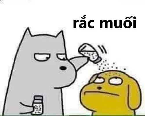 Hình meme hài rắc gia vị gợi đường rơi muối quen thuộc
