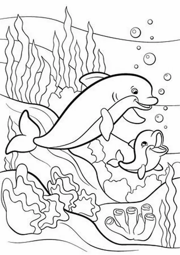 56 Trang tô màu cá heo xám nhạt dưới bầu trời trong