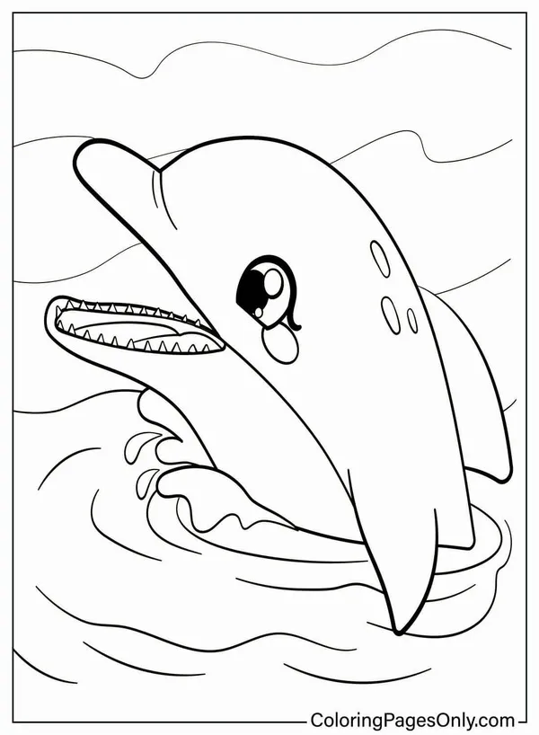 10 Bé tô cá heo xanh tung tăng cùng sao biển nhỏ