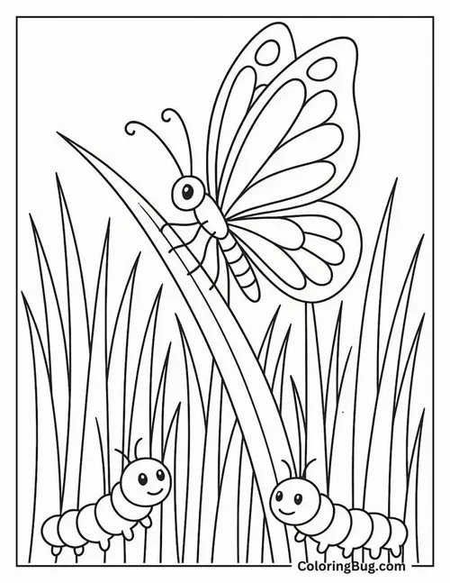 Hình tô màu con bướm nghệ thuật giúp bé khám phá đường nét