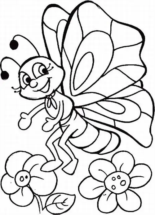 Trang tập tô bướm hoa văn uốn lượn mang hơi thở nghệ thuật