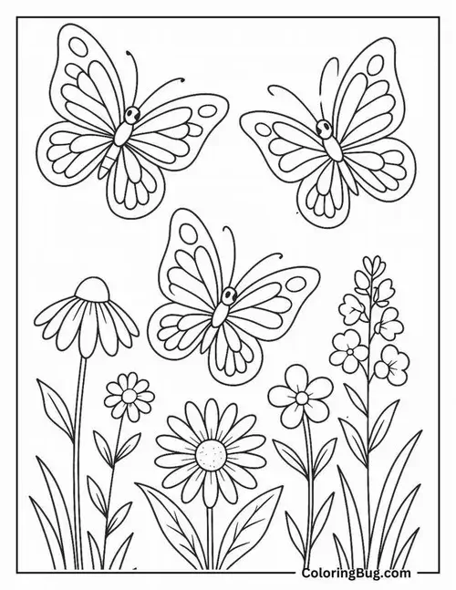 In hình tập tô con bướm giúp bé rèn luyện tay khéo