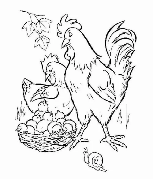 Mẫu tranh tô con gà giúp bé nhận biết hình dáng và màu sắc
