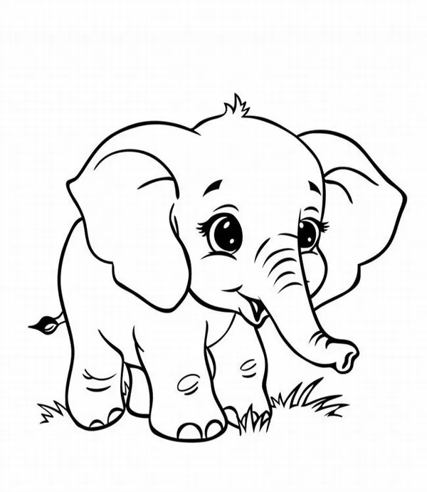 Trang tô voi con đáng yêu giúp bé thư giãn