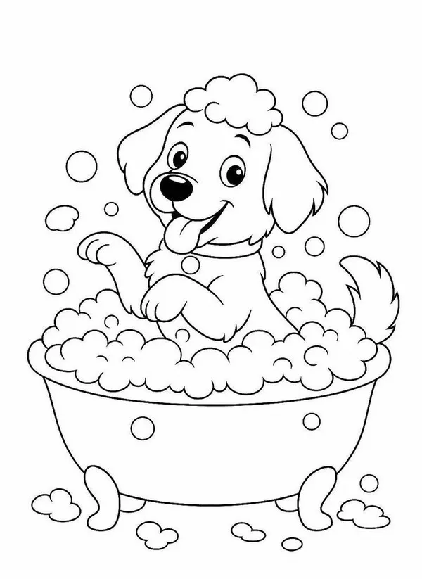 In hình tập tô mèo tam thể ngồi bên cửa sổ.